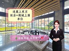 鼎中生活圈輕屋齡有裝潢兩房+機械上層車位