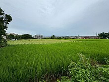 house cover