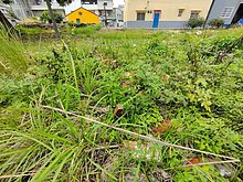 岡山區近頂潭路鄉村乙種建築用地0910579121