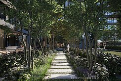 🤩好市多｜寶輝THE SPRINGS｜質感朝🤩