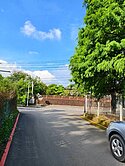 龍潭紅花綠墅休閒小農地🥝