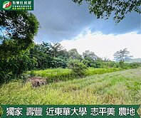 獨家★壽豐臨台九線志平田園風光美農地UF910
