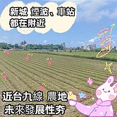 獨家★新城近煙波飯店方正美地UF297