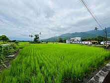 獨家★瑞穗土壤肥沃水源豐沛美農地UF1109