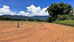 獨家★瑞穗舞鶴1300坪臨路農地UF1198