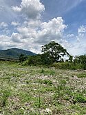 獨家★瑞穗台九線旁1900坪農地UF1219