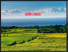 獨家★台東長濱山海景建地三筆任選8.8萬UE526