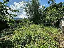 獨家★瑞穗舞鶴路旁80坪鄉村建地UE561