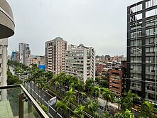 【仁愛當代】樹海6米樓中樓 