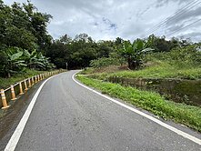 甲仙關東巷臨路三角窗便宜農地3.84分