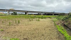 正66快速路觀音文化路交流道旁漂亮農地