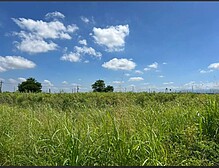 💓降價💓善化有水電平坦農地