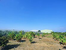 岡山嘉年華產業園區/城鄉發展快樂農地
