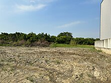 姿妤推薦專簽！安南近果菜市場都農1482