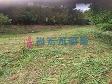 尚宏不動產🌳精選🌳【通霄超俗爆休閒農地】