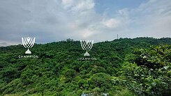 【冠軍推薦】東新街山林美寓