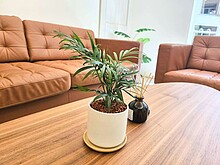 house cover