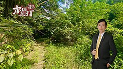 ❤️買農林地找Allen❤️農地林地保育山坡地