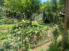 近湖口王爺壟重劃區~新豐區住宅建地130坪