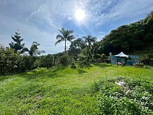 🌿 新埔九穹湖｜生態園區 景觀農地