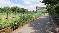 @@開南大學超美農地@@
