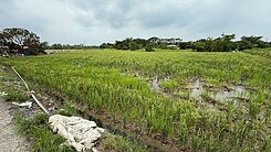 近南科新化大面寬約4.24分美農地