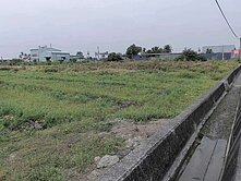 阿蓮面台19甲大面寬雙面臨路超方正美農地88626