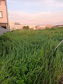💥近道周路乙種工業用地💥