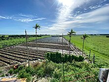 二林稀有合法農舍@@土地961坪@@