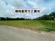 ❤️楊梅富岡方正農地❤️