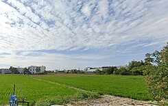 大雅臨路美農地