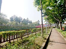 桃園東區日系電梯透天