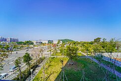 巨蛋高鐵｜綠園道首排綠蔭景觀｜三面採光｜四房平車