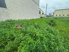 仁德近86方正建地
