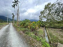 精選強銷★鳳林見晴國小旁肥沃漂亮水稻田UF1314