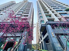小賴獨家🤩新光國小|兩房兩衛平車樹梢戶|水岸之星