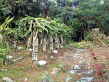 六龜山坡農地