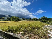 精選強銷★吉安小坪數有水源可灌溉超美農地UF894