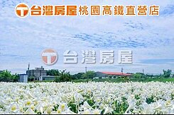 近青埔草漯雙面臨路旁美農地