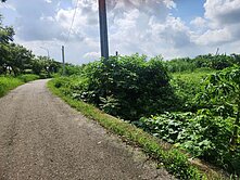 近湖子內交流道旁農地
