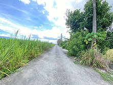 精選強銷★慢活鳳林景色優美方正農地UF945