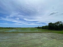 精選強銷★近佳林社區方正田園遼闊美農地UF944