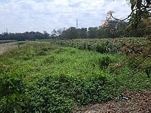 學甲正20米大路面農地