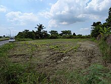 新化臨外環臨30米道路大面寬農地