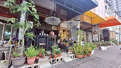 精選🍎南屯豐樂公園|黃金透店