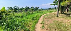 澄清湖近豪宅農地/鳥松一般農業區/鳳梨田	