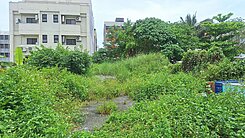 精選強銷★黃金地段臨路25米方正美建地AUE556