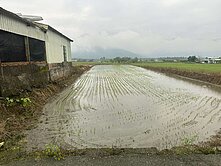 精選強銷★光復1000坪田園美景農地UF1376