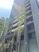 ☆青埔特區☆W站前全新∣高樓層∣低總價∣1+1房