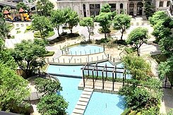 21佳鈴開發專營~心天母樹海庭園景觀3房車